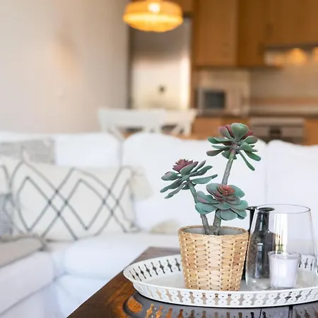 Paradise Palms Apartment *